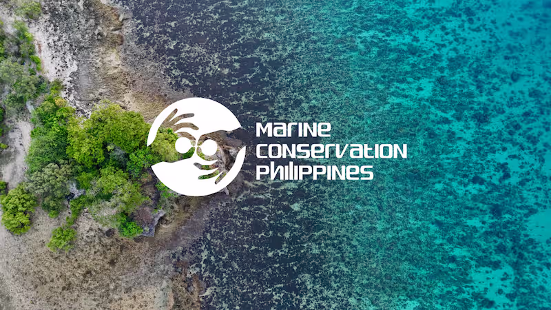 digital marketing for marine NGOs