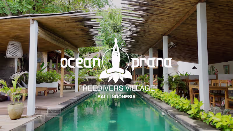 digital marketing for the diving and free-dive sector