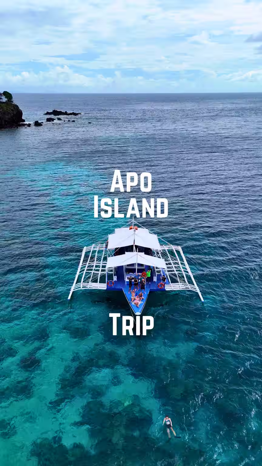 Apo Island Trip