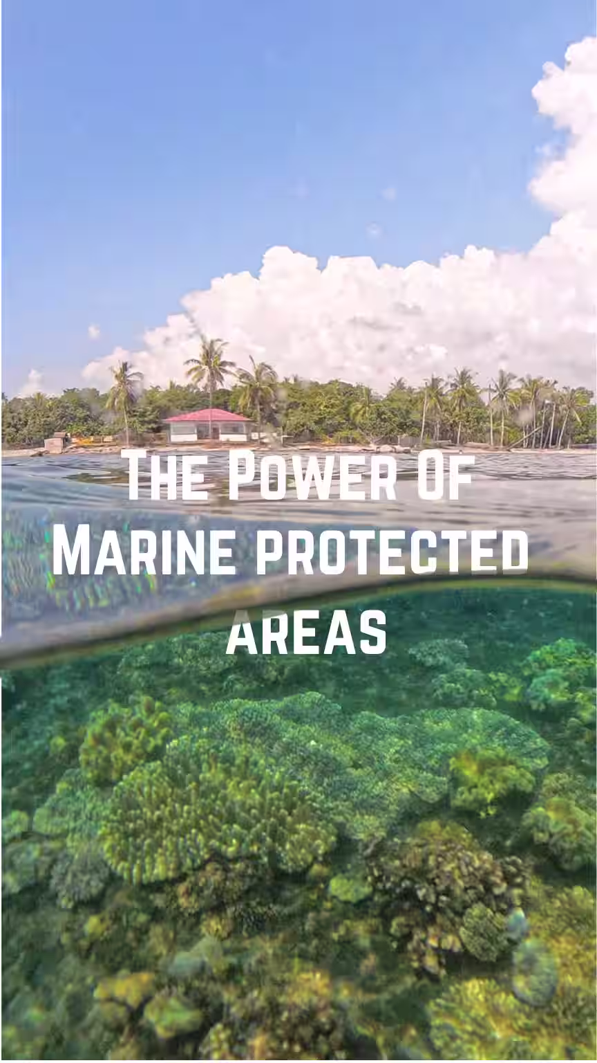 Marine Protected Areas